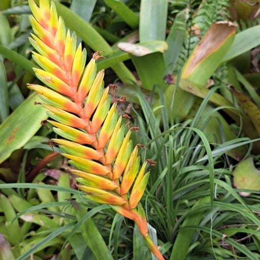 PÖ - Rythmic Pölarities - 23rd September 2025