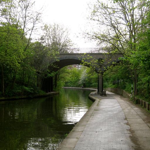 The Grace Escape November