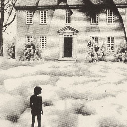 Forager Records - 29th January 2026