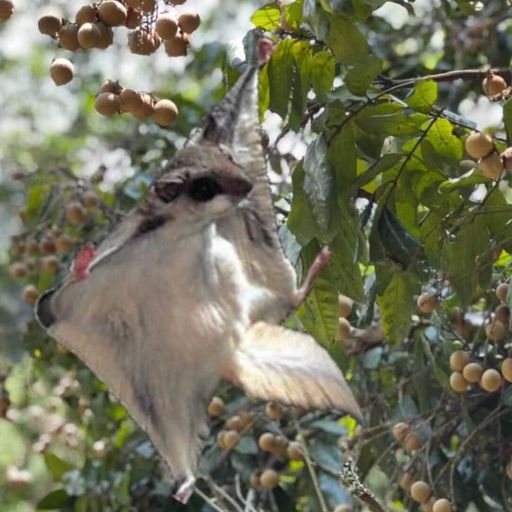 DJ'YE【小李飛刀神準】《Dimitri Vegas - Tremor x Henry Fong & SCNDL - Ass Up x MAKJ - Generic》Rojak ReMix 2x21