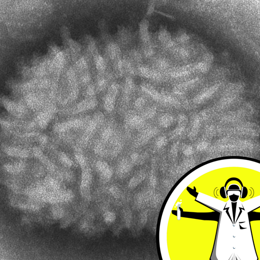 Why Viruses Don't Infect the Same Cell Twice