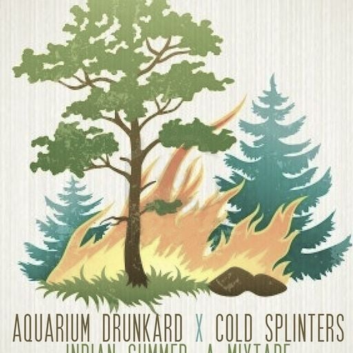 Indian Summer – A Mixtape