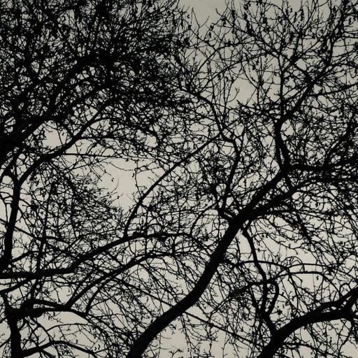 Late Night with Yorgos Dousos