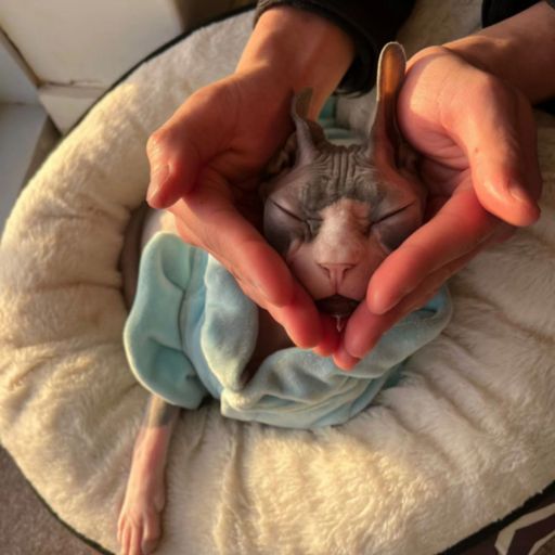 DJ'YE【K Private Mix】《B2$ & KOALA - 真的沒喝多 X Lona.X - 醬爆857 X 女生版 - 廣東愛情故事 X 六哲 - 累了走了散了》Mixtape 2x23