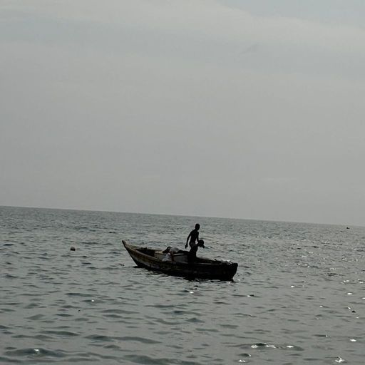 Monicashflow - Calm and Collected - 19th December 2025