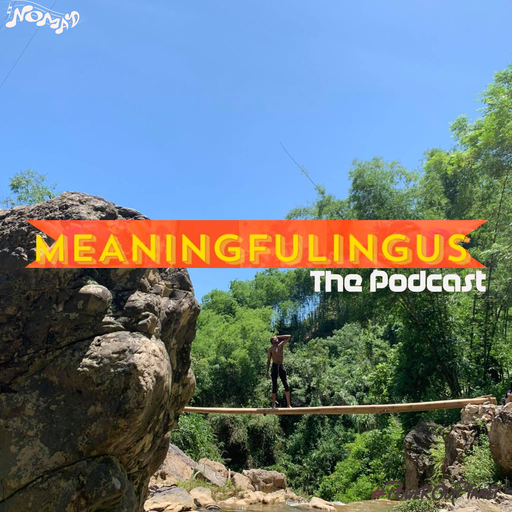 Meaningfulingus w/ Stanford Ep 12 25.11.2021