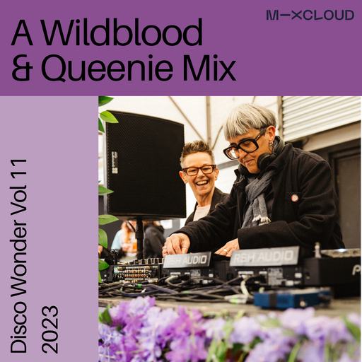 Wildblood and Queenie's Disco Wonder Vol.11
