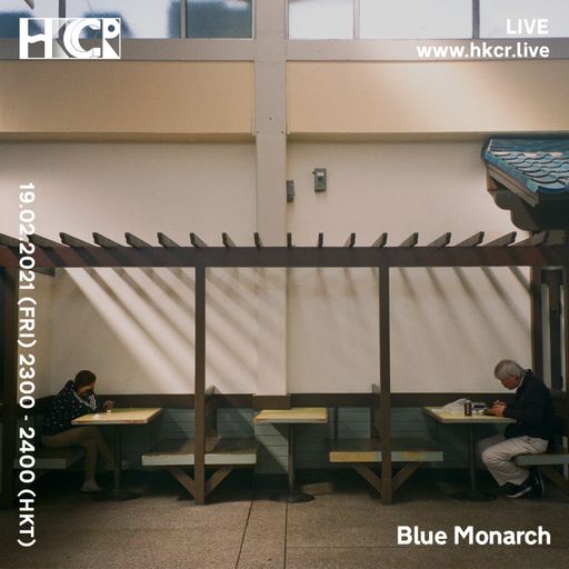 Blue Monarch - 19/02/2021
