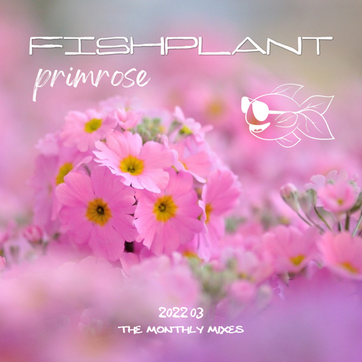 2022 03 - Primrose