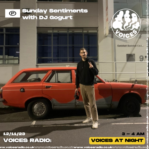 DJ Gogurt - Voices at Night - 12/11/23