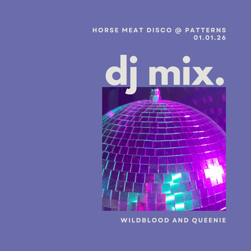 Wildblood and Queenie: Horse Meat Disco New Years Day @ Patterns