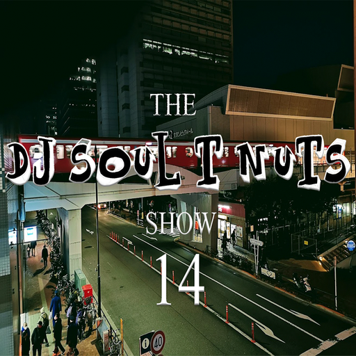 The Soul T Nuts show (New Years Edition) - episode 14 - Funky Tech House