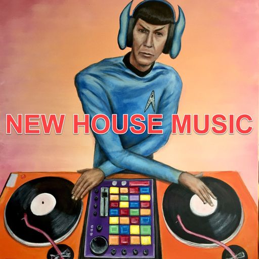 2025-07-17 DJ Jesse House Breaks EDM Garage Acid Electronic Dance Mix