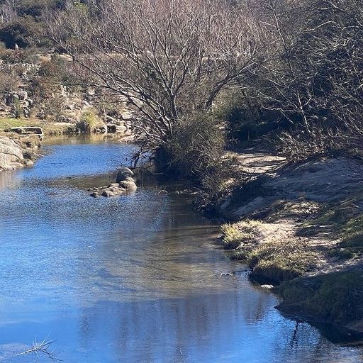 SUQUÍA - 14th October 2025