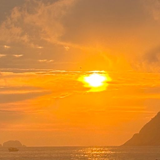 OK Williams - 29th January 2026