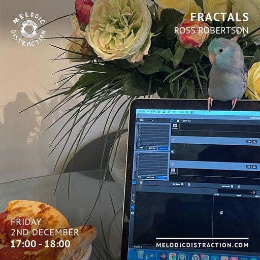 Fractals with Ross Robertson (December '22)