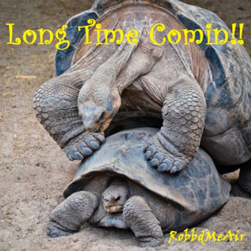 Long Time Comin!