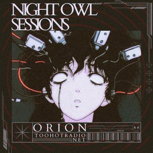 Night Owl Sessions 20241102