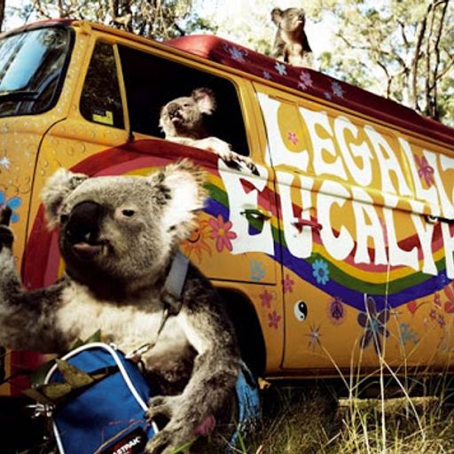 TDC: Tunesday - LIVE! on DNBHeaven.com (9/22/15)