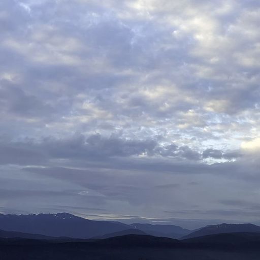 peace piece w/ Tolga Yağlı - 3rd January 2026