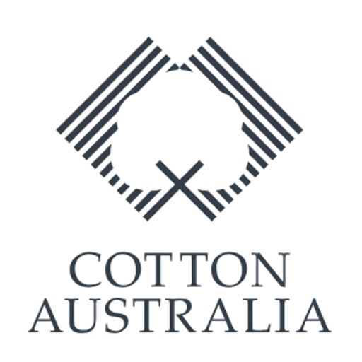 cotton cruise views new boto fuse: