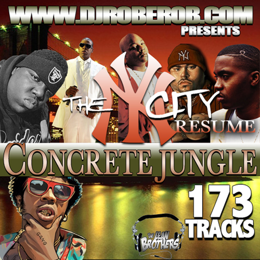 DJ Rob E Rob - Concrete Jungle: The NYC Resume