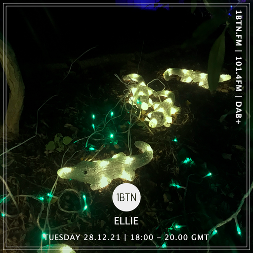 Ellie - 28.12.2021