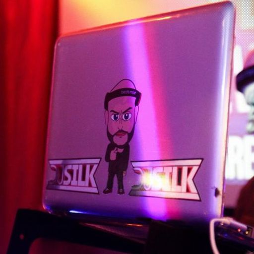 DJ Silk Presents Them Ones There