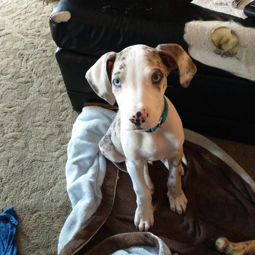 TDC:  Belated New Year - LIVE! on drumbase.space [12.31.21]