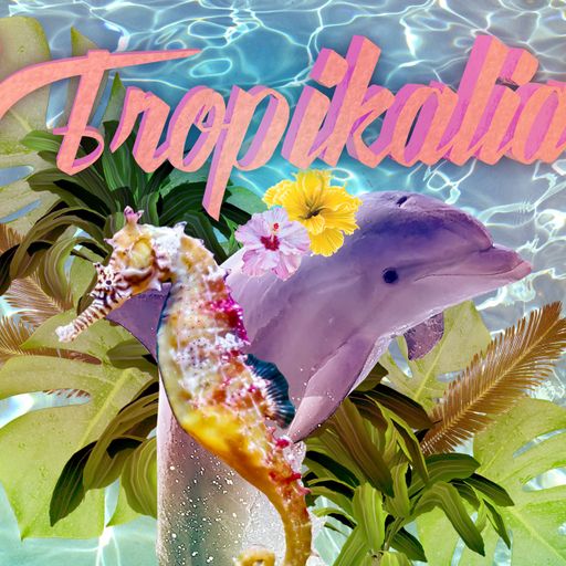 THE GLOBAL GLITCH  70