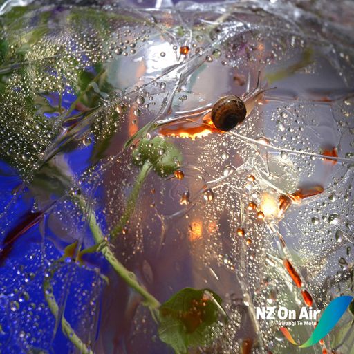 Recharted 129 - Todd Luffa - Thanks to NZ On Air Music