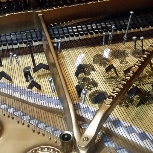 New and Early Music - Musics of the World 20/10/19 WXUT (Mix)