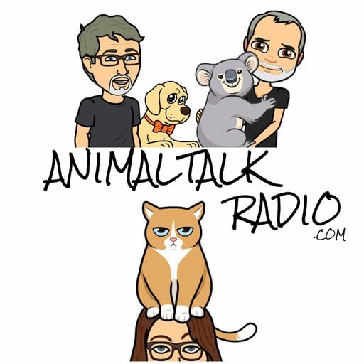 Animal Talk - Gold Medal Rats and Halloween Tips - Episode 123