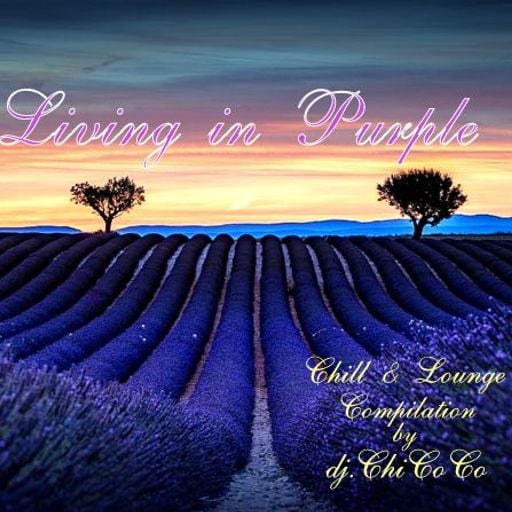 ""LIVING IN PURPLE"" chill & lounge compilation