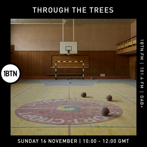Through The Tree's w/ Ty - 16.11.25