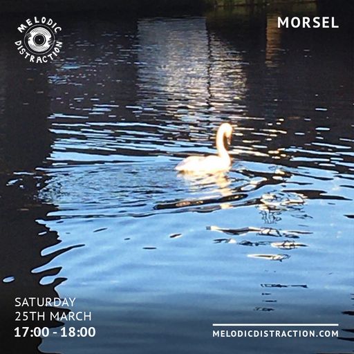 Morsel with Elsa (March '23)