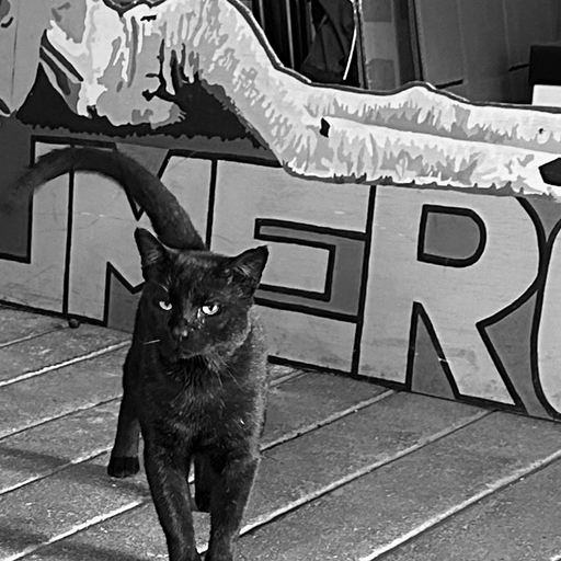 The Numero Group - Staff Picks 2025 - 4th December 2025