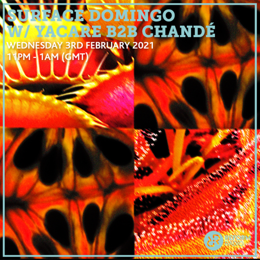 Surface Domingo w Yacare b2b Chandé 3rd February 2021