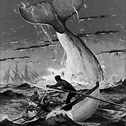Bridge Williams Sound Library #17 (The Sea) (10/8/2016)
