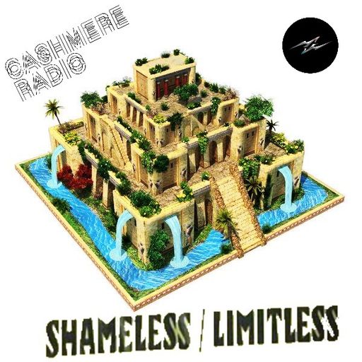 Fantasy Fiction #38 w/ Shameless Limitless & PAWS+ 19.07.2021