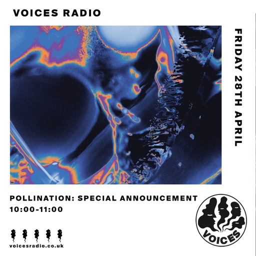 Pollination: Special Announcement 28/04/23