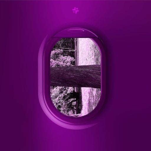 Sayankah - Eden Express - 29th October 2025