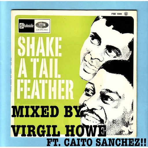 SHAKE YOUR TAILFEATHER MIX VOL 1