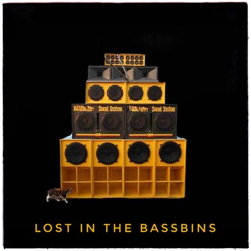 Lost In The Bassbins June22