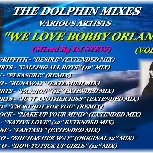 THE DOLPHIN MIXES - VARIOUS ARTISTS - ''WE LOVE BOBBY ORLANDO'' (VOLUME 1)