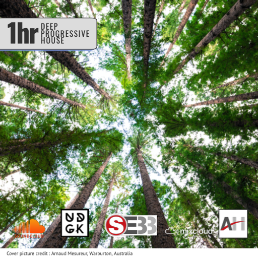 SEBB - Just Chillin (SEBB floating mix) (UDGK: 05/06/2021)