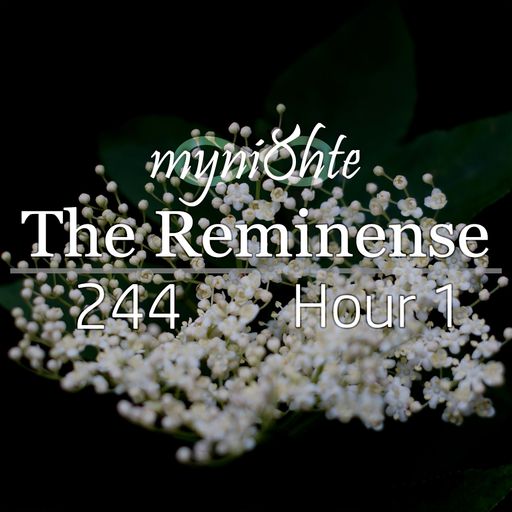 The Reminense 244 - Hour 1