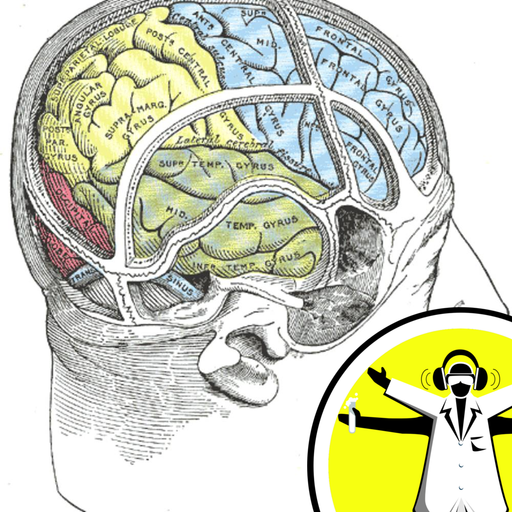 The Diseased Brain