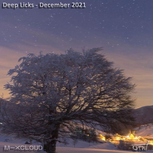 Deep Licks - December 2021