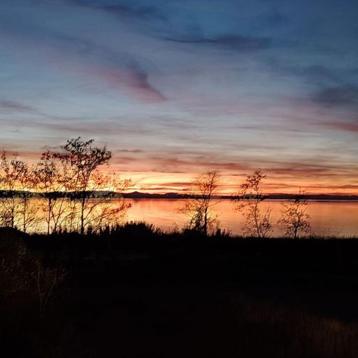 Dj Mapj	-	Subconscius sunset